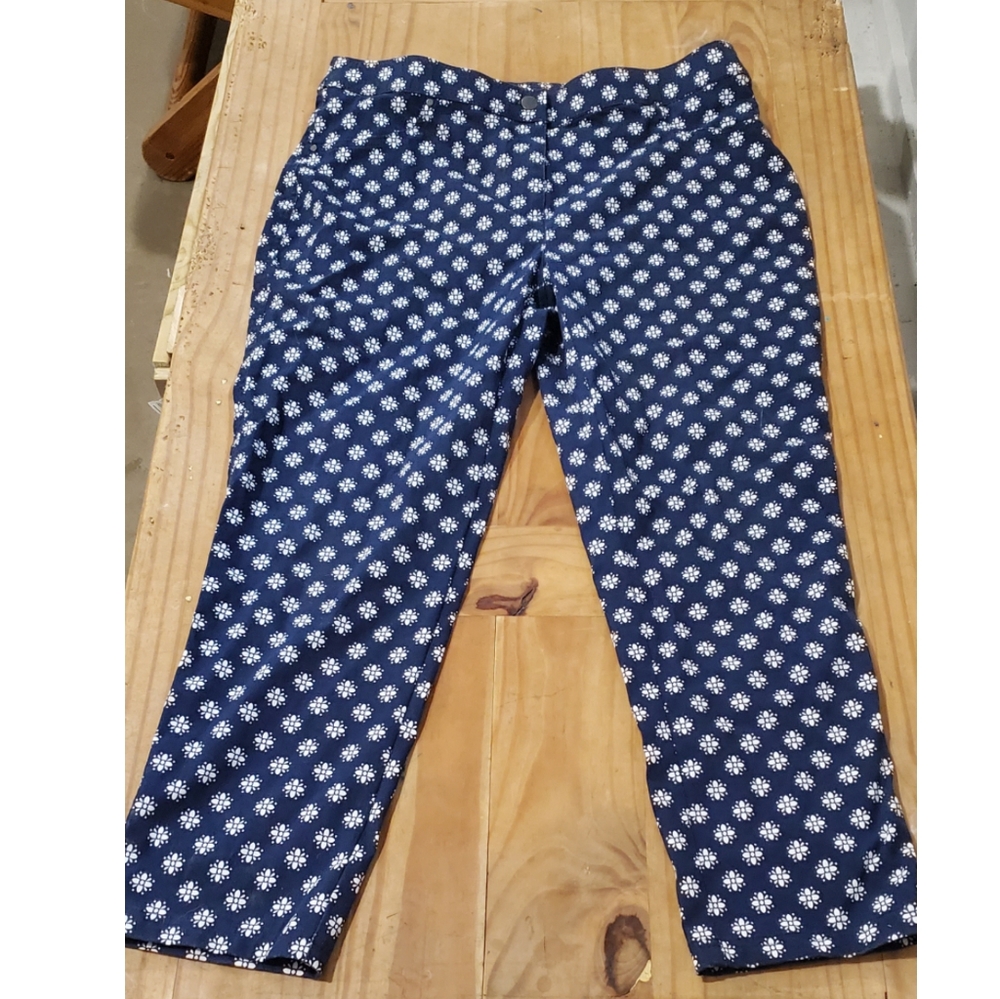 Size 25 Chico's ankle pant